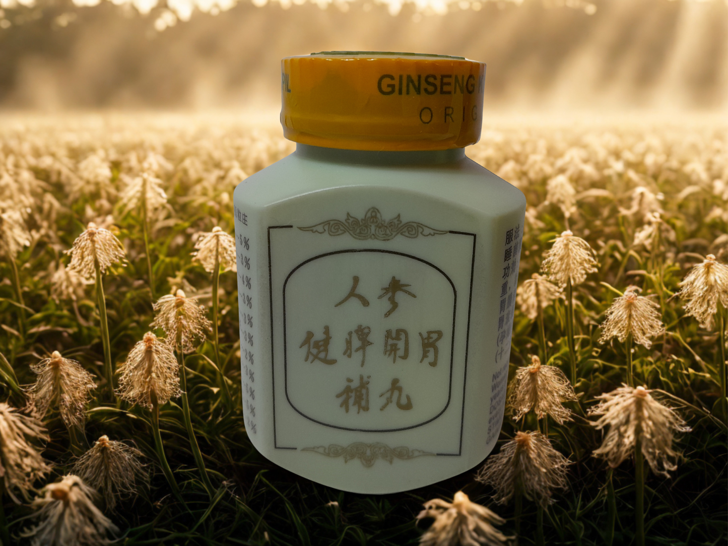 Ginseng KIANPI Pil حبوب جنسينغ الأصلي